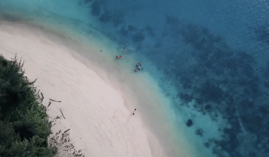 Carren’s drone shots of our joyful swim in Pulau Gojong’s pristine waters
